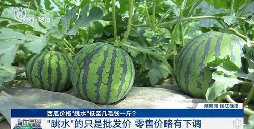 热门大瓜top10,揭秘娱乐圈风云变幻
