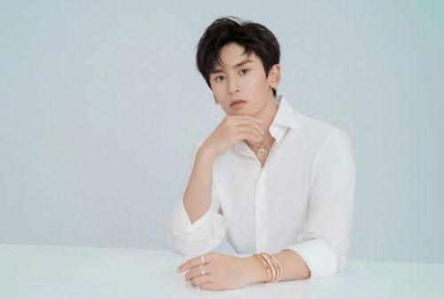 =明星明星公开道歉,真诚反思与公众形象的重建